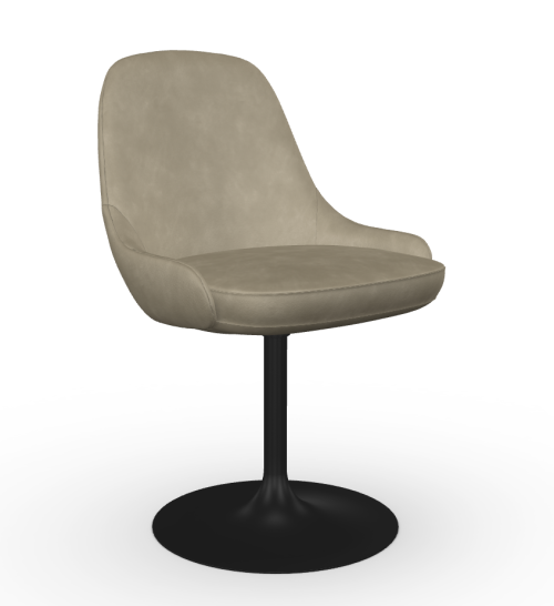 Cadira s swivel