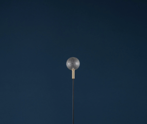 Syphasfera