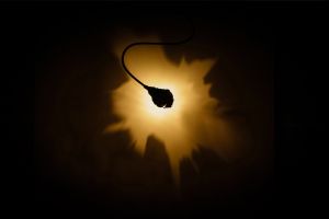 Luce che dipinge