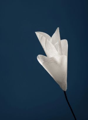 For You