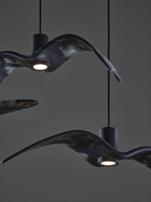 Night Birds