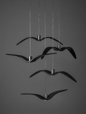 Night Birds