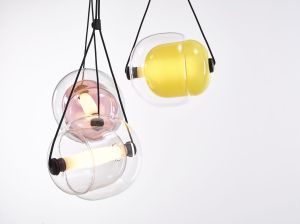 Capsula