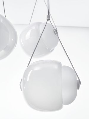 Capsula
