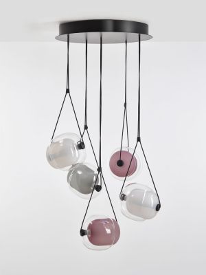 Capsula