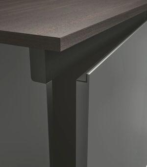 Linea