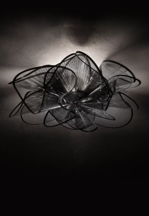 La Belle Etoile Ceiling/wall