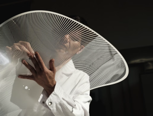 La Belle Etoile Ceiling/wall