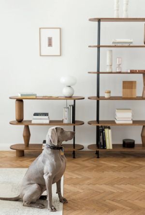 VAZOO 6 bookcase