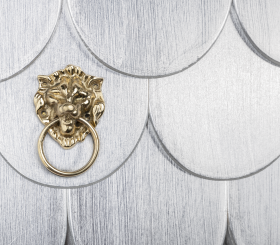 COLECCIONISTA BOOKCASE