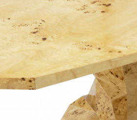 BONSAI POPLAR ROOT DINING TABLE