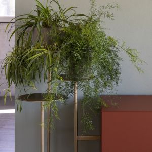 Ikebana storage by Mogg