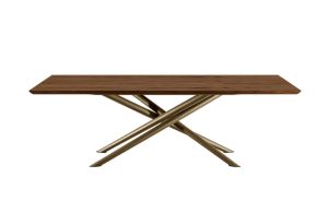 BALY by Eforma